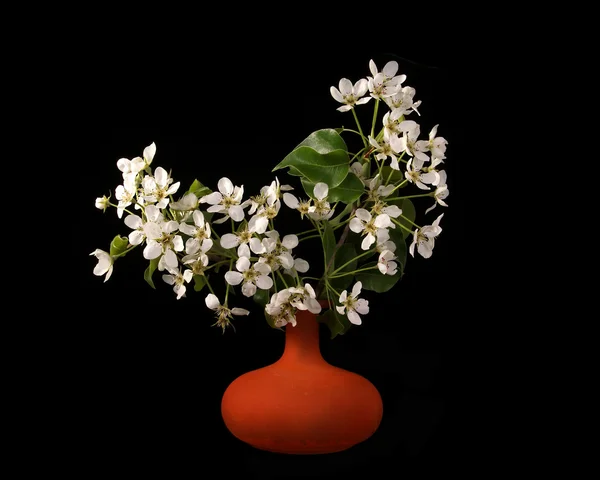 stock image Bouquet of flowers and blossoms of cherries