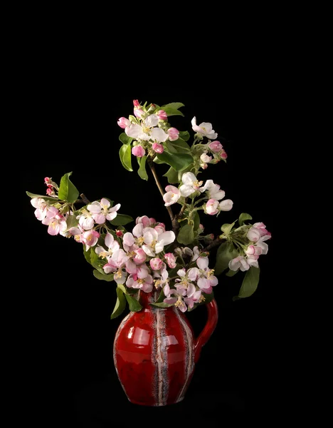 Blumenstrauß und Apfelblüten, isoliert auf schwarz — Stockfoto