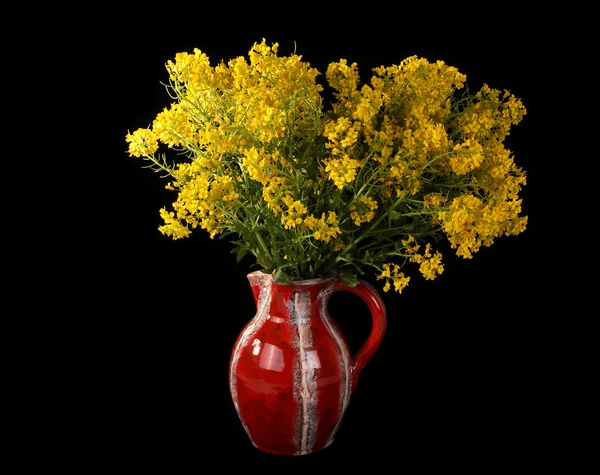 Siyah üzerine izole sarı kır çiçekleri buketi — Stok fotoğraf