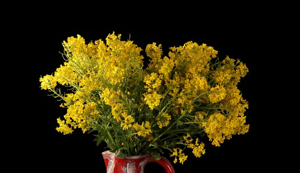 Bouquet de fleurs sauvages jaunes, isolé sur noir — Photo
