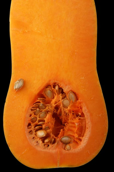 Stillife with a fresh pumpkin on black background — Stock Photo, Image