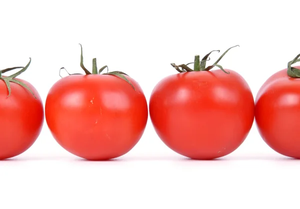 Zátiší s čerstvými rajčaty — Stock fotografie