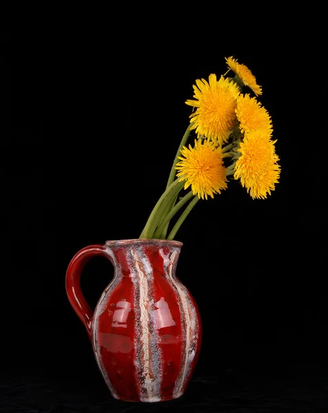 Dandelion flowers in a vase on a black background — Stock Photo, Image