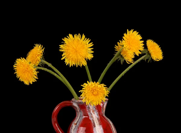 Fiori di tarassaco in un vaso su uno sfondo nero — Foto Stock