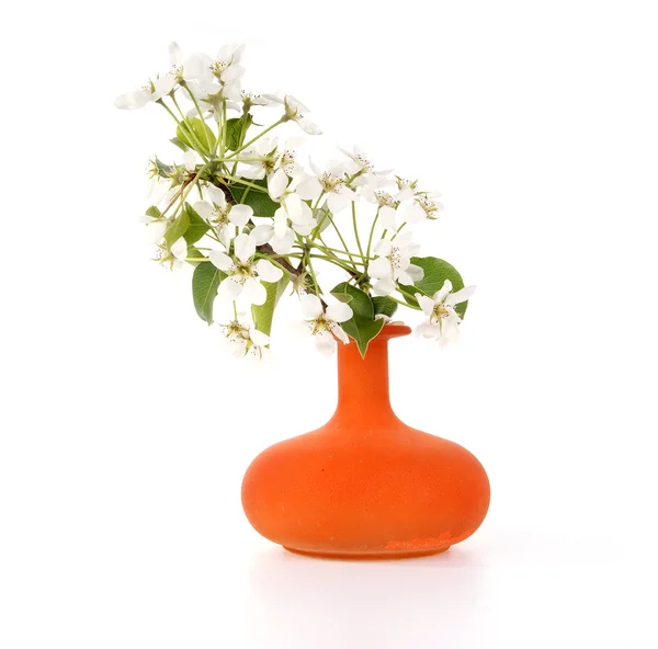 꽃과 흰색 절연 하는 체리의 꽃 부케 — 스톡 사진