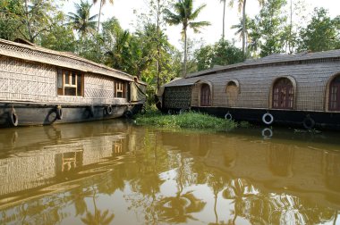 Kerala (Hindistan) önemsizden ev Tekne