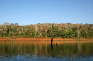 Göl, periyar Milli Parkı, kerala, Hindistan