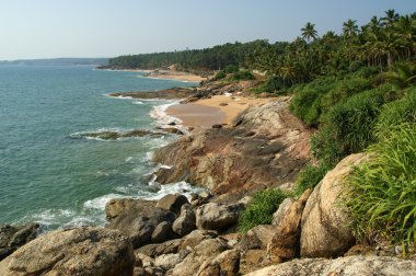 okyanus kıyısında, kerala, Güney Hindistan