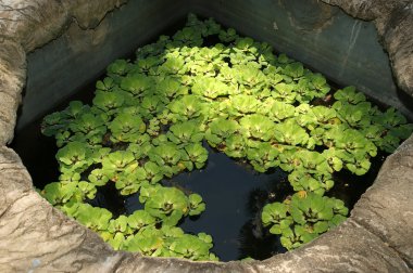 Old well in a poor village peasants, Kerala, South India clipart