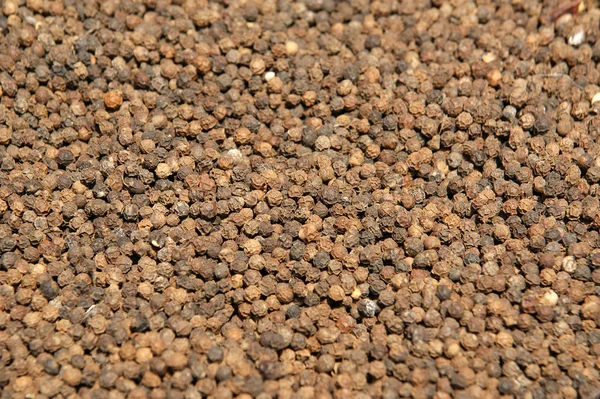 Primer plano de granos de pimienta negra —  Fotos de Stock