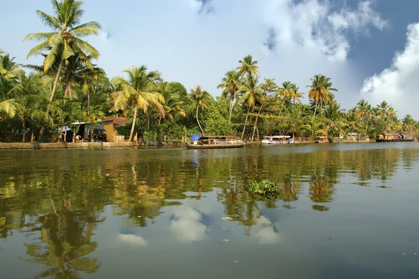 Coconut palms on the shore of the lake. Kerala, South India — Stock Photo, Image