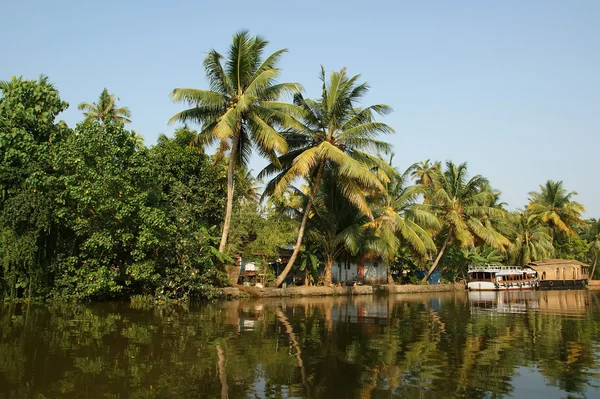 Kokospalmen am Ufer des Sees. kerala, südindien — Stockfoto