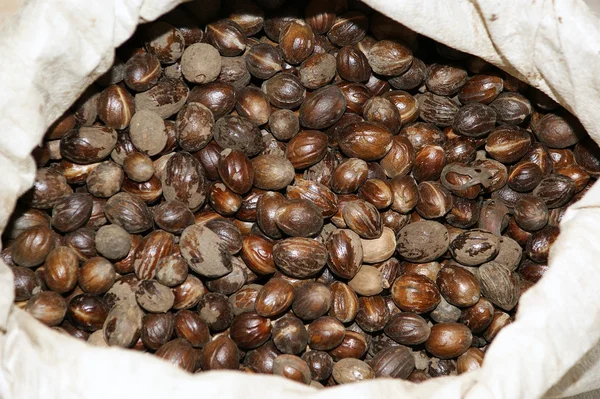 Bunch of nutmeg can be used as background — Zdjęcie stockowe