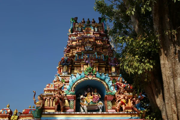 신 및 힌두교 사원에서 여신의 전통적인 동상 — 스톡 사진