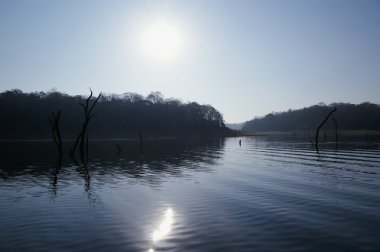 Göl, periyar Milli Parkı, kerala, Hindistan