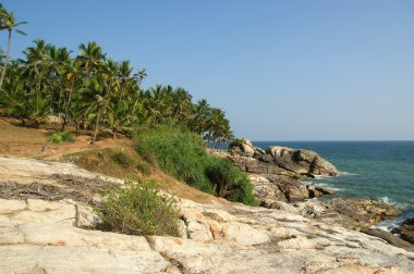 okyanus kıyısında, kerala, Güney Hindistan