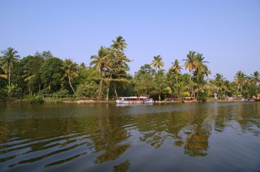 Hindistan cevizi avuç içi göl kıyısında. Kerala, Güney Hindistan