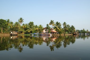 Hindistan cevizi avuç içi göl kıyısında. Kerala, Güney Hindistan