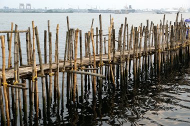 Eski iskele yapılmış tekneler için?? bambu, Cochin, Kerala, Güney Hindistan