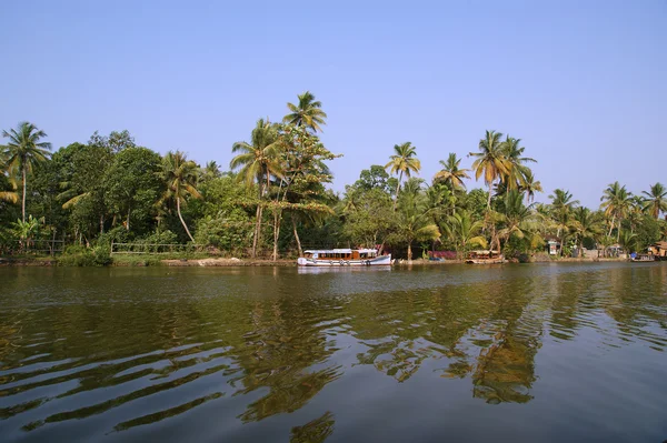 Coqueiros na margem do lago. Kerala, sul da Índia — Fotografia de Stock