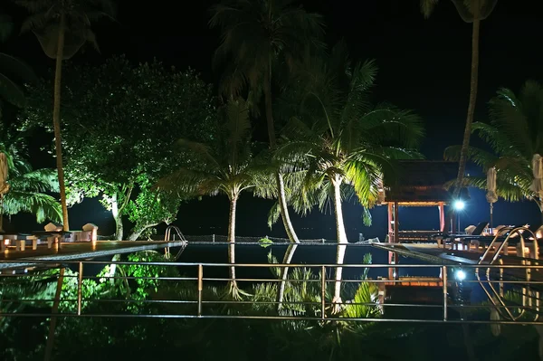 Kokospalmen spiegeln sich im Wasserbecken — Stockfoto