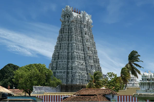 Suchindram Tapınağı. kanniyakumari, tamil nadu, Güney Hindistan — Stok fotoğraf