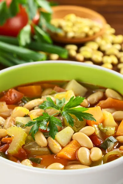 Вегетарианский бобовый суп — стоковое фото