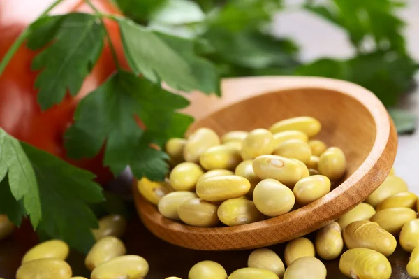 Raw Canary Beans — Stock Photo, Image