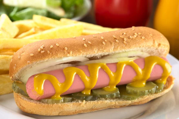 Hotdog com batatas fritas — Fotografia de Stock