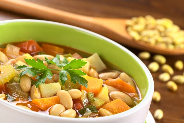 Vegetarian Canary Bean Soup Stock Photo