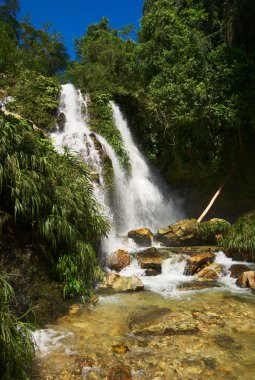 Waterfall in Northern Colombia clipart