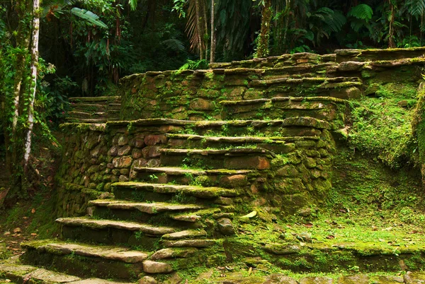 Stenen trap leidt naar een terras in ciudad perdida, colombia — Stockfoto