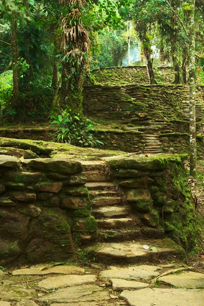 Sten trappor och terrasser i ciudad perdida, colombia — Stockfoto