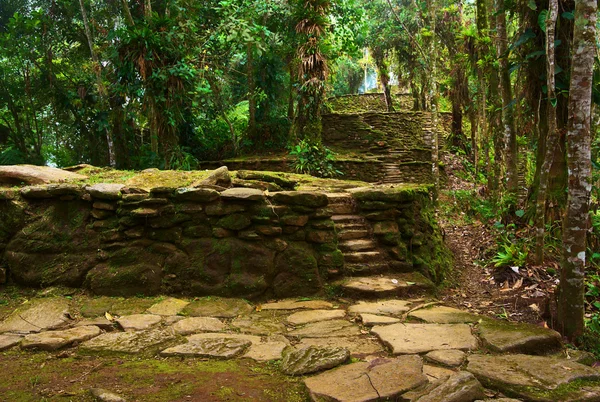 Sten trappor och terrasser i ciudad perdida, colombia — Stockfoto