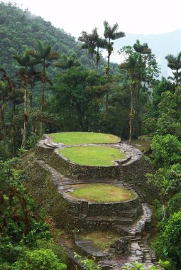 Main Terraces and the Frog Stone in Ciudad Perdida, Colombia clipart