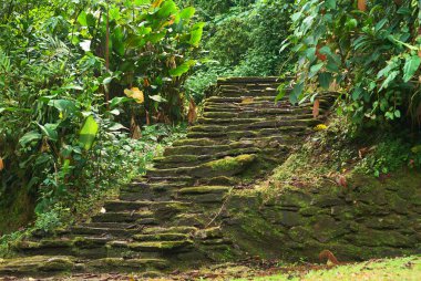 Stone Stairs in Ciudad Perdida, Colombia clipart