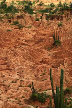 Tatacoa Desert in Colombia clipart