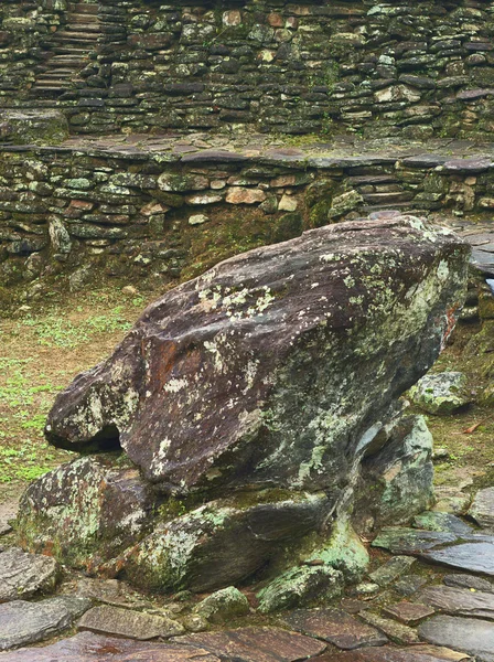 シウダー perdida、コロンビアのカエル石 — ストック写真