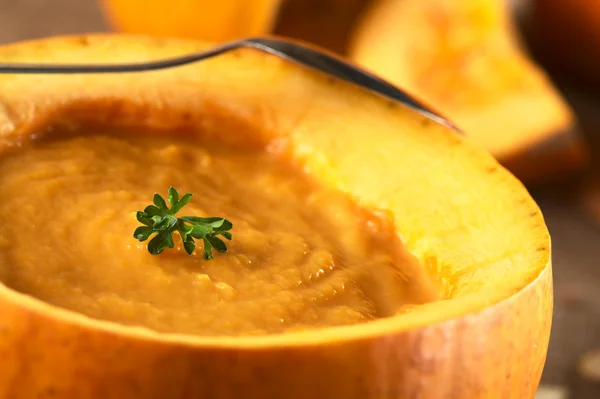 Fresh Pumpkin Soup — Stock Photo, Image