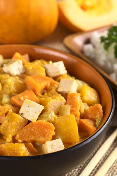Tofu, pumpa och sötpotatis curry — Stockfoto