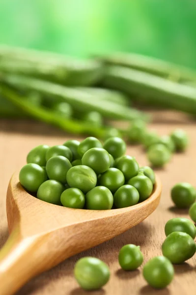 원시 신선한 녹색 완두콩 씨앗 — 스톡 사진