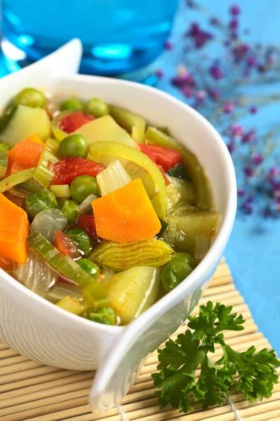 Vegetable Soup — Stock Photo, Image