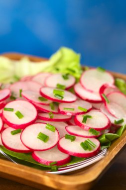 chives ile turp salatası