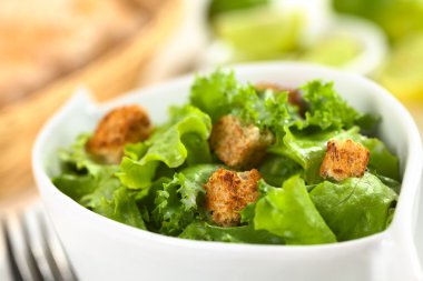 croutons yeşil salata