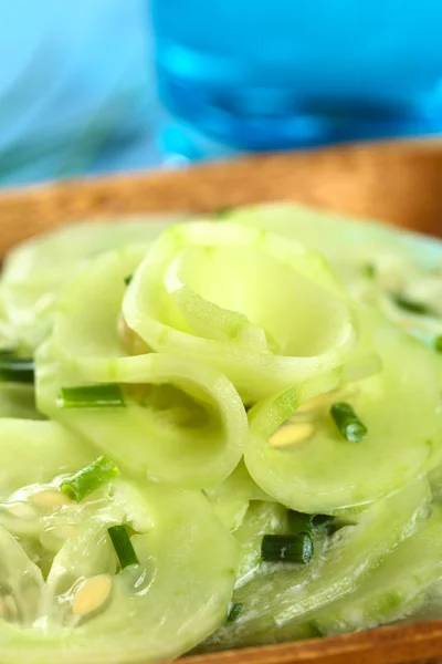 Salada de pepino com cebolinha — Fotografia de Stock