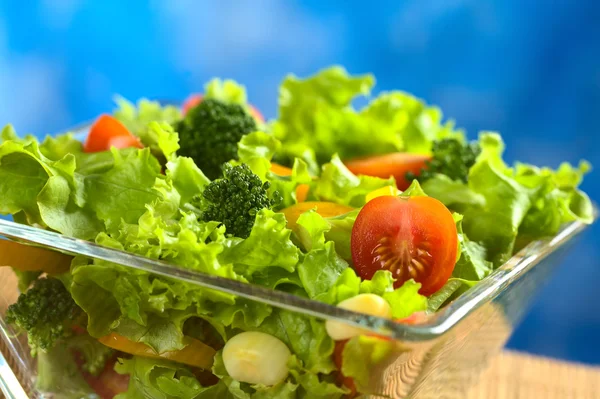 Işık taze sebze salatası — Stok fotoğraf