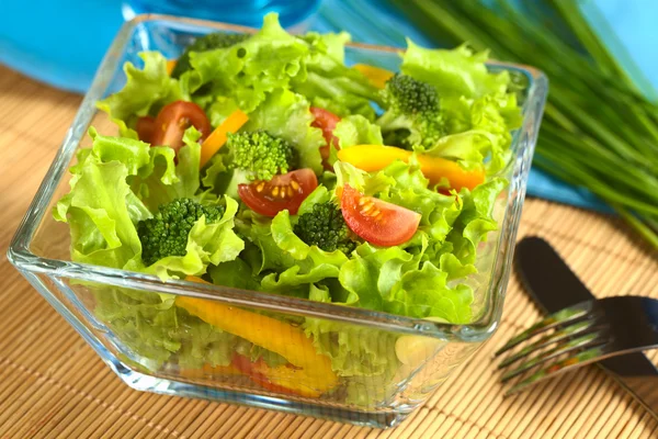 光の新鮮な野菜のサラダ — ストック写真