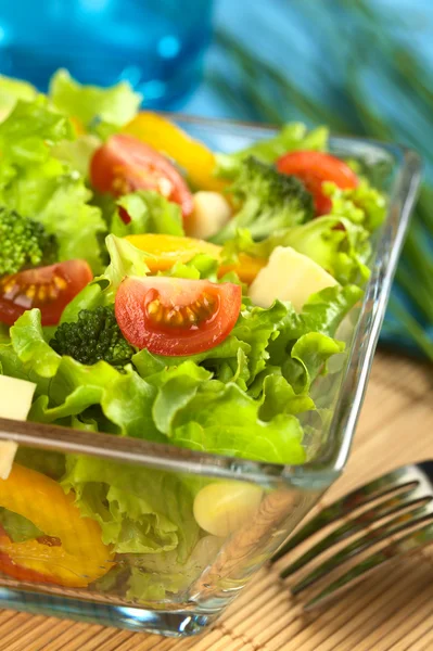 Light Fresh Vegetable Salad — Stock Photo, Image