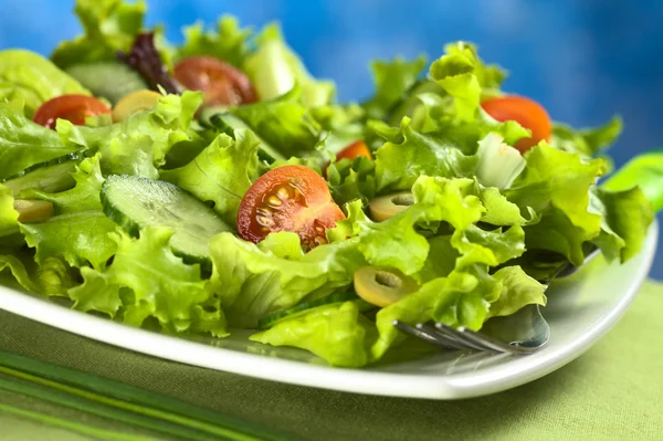 Salad sayuran segar — Stok Foto