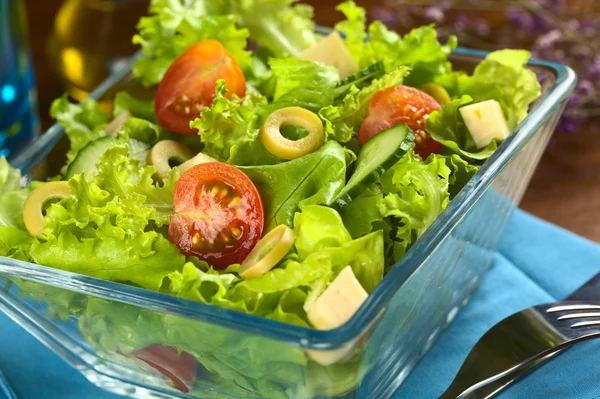 Fresh Vegetable Salad — Stock Photo, Image